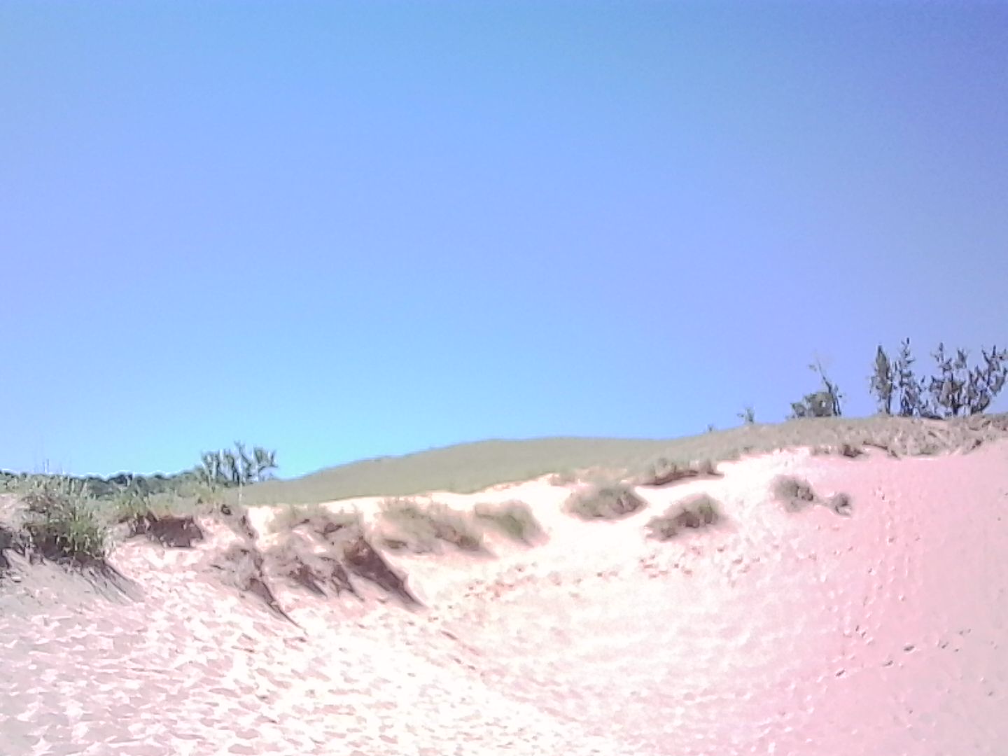 Dunes with grass